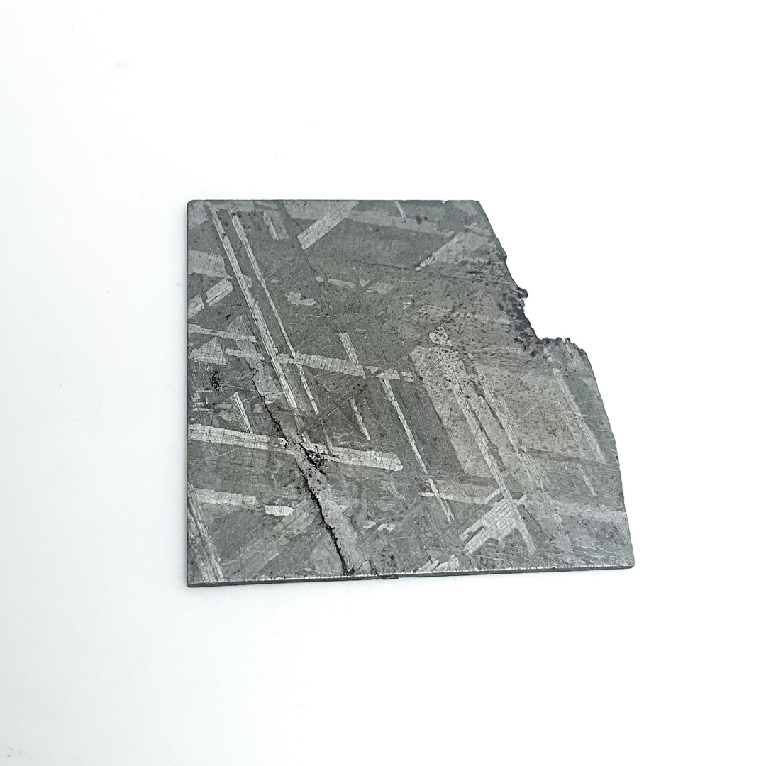 Muonionalusta Meteorite Slice