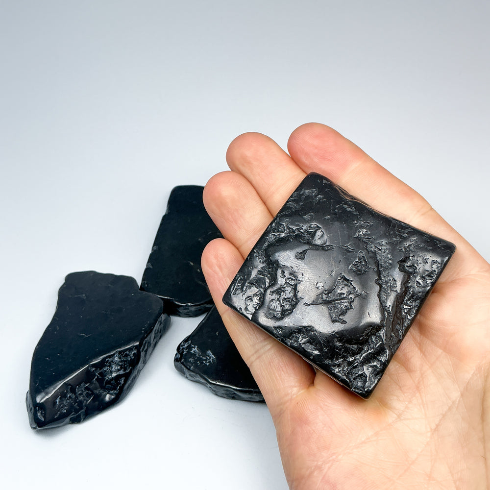 Shungite Slice - Rocks and Gems Canada