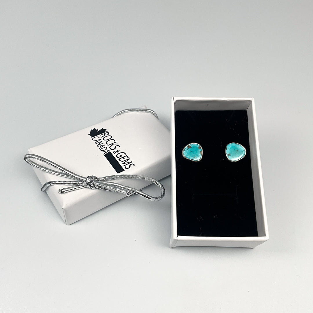 Turquoise Stud Earrings