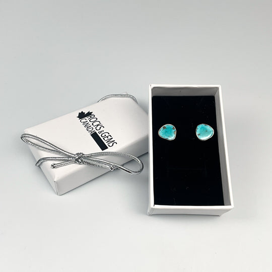 Turquoise Stud Earrings