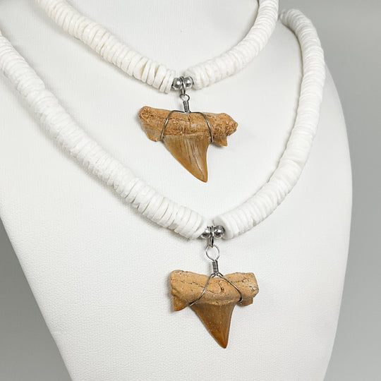 Fossilized Shark Tooth Necklace - Rocks and Gems Canada