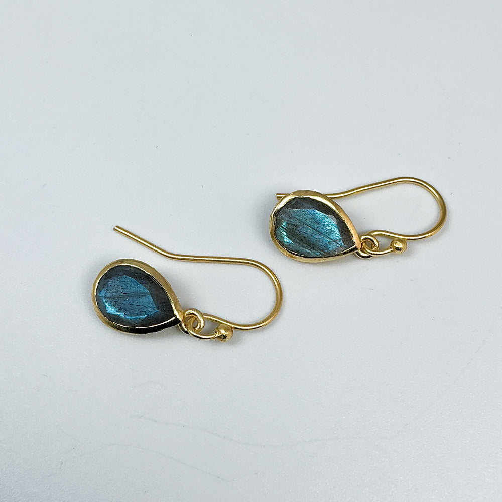 Labradorite Dangle Earrings