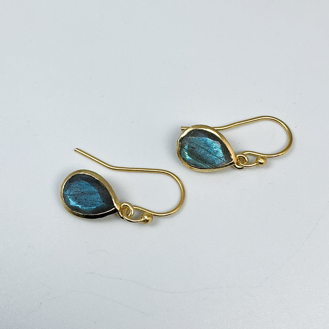 Labradorite Dangle Earrings