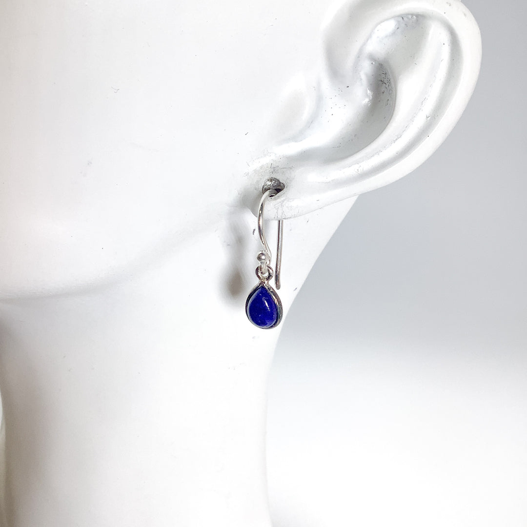 Lapis Lazuli Dangle Earrings - Rocks and Gems Canada