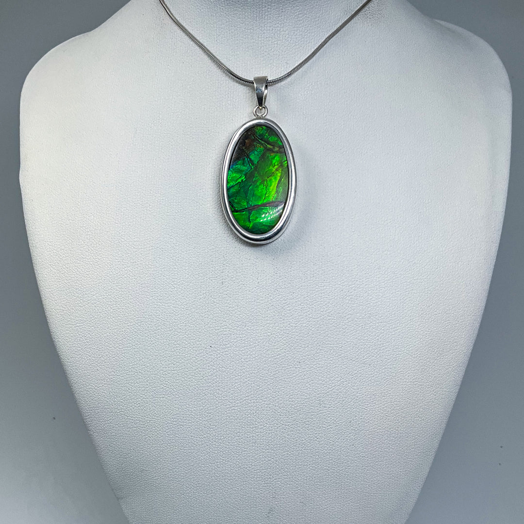 Alberta Ammolite Pendant