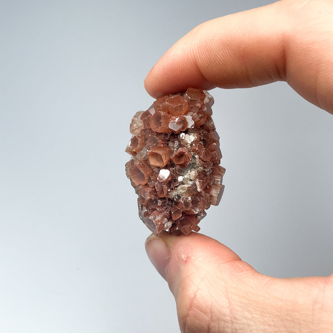 Aragonite Specimen - Rocks and Gems Canada