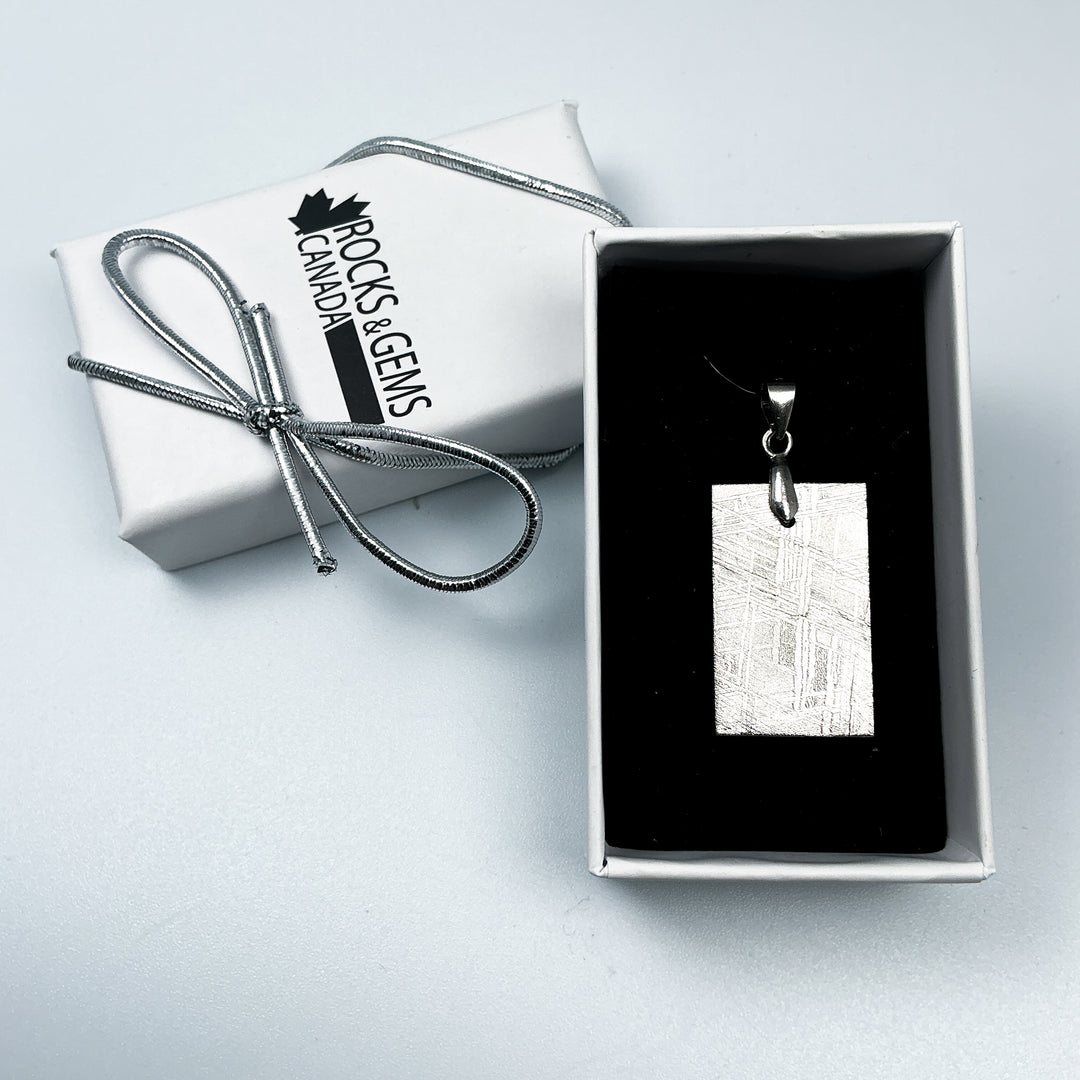 Muonionalusta Meteorite Pendant