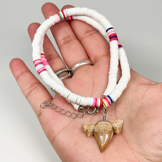Fossilized Shark Tooth Necklace - Rocks and Gems Canada
