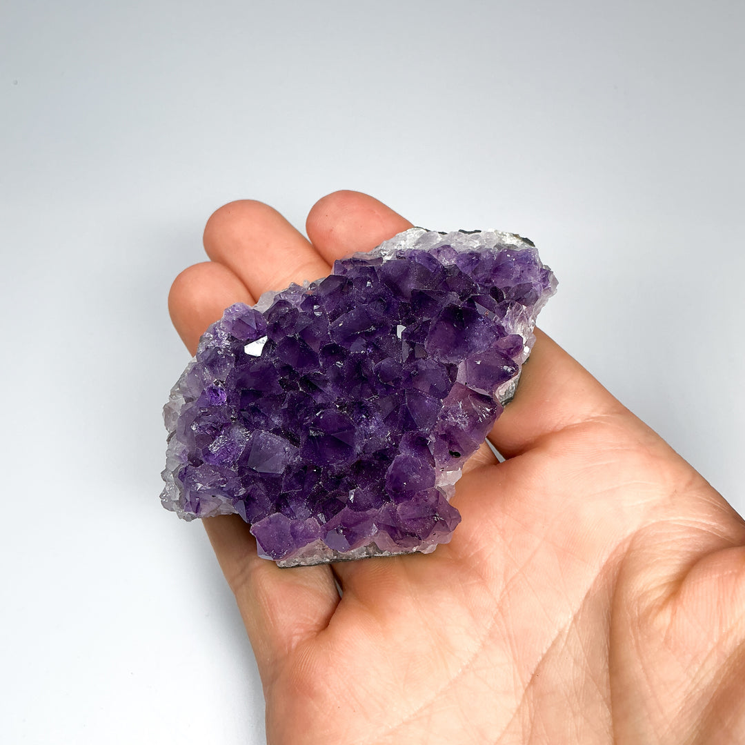 Amethyst Druze Cluster