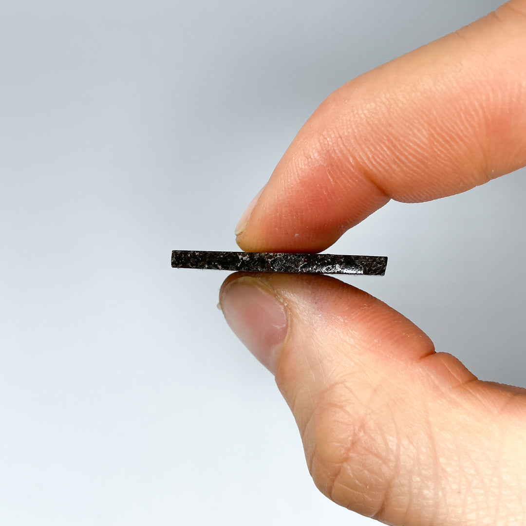 Admire Meteorite Slice - Rocks and Gems Canada