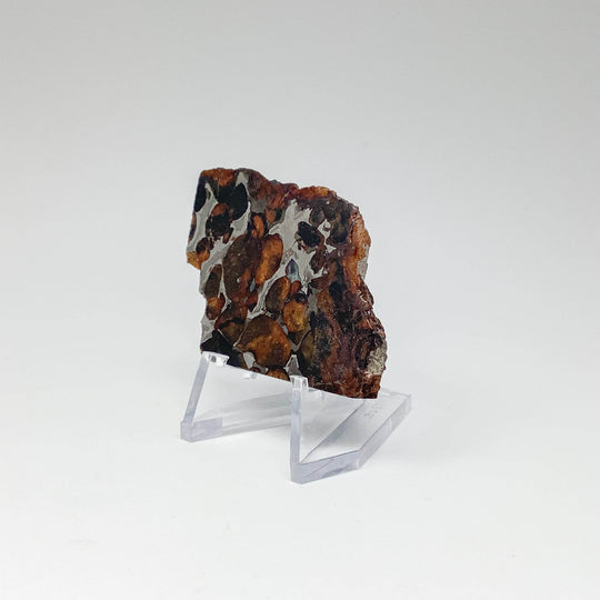 Sericho Meteorite Slice - Rocks and Gems Canada