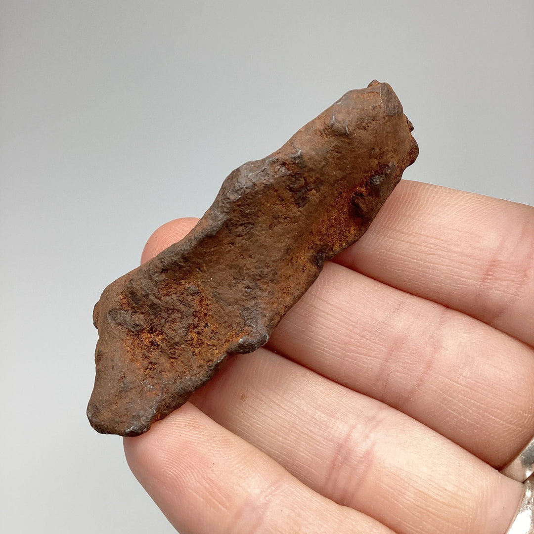 Gebel Kamil Meteorite - Rocks and Gems Canada