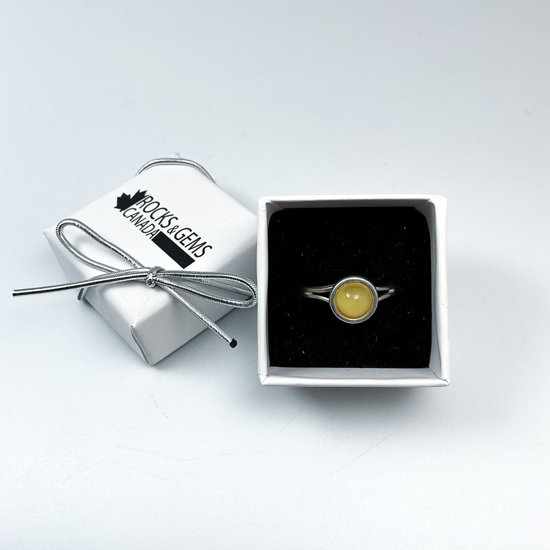 Butterscotch Amber Adjustable Ring - Rocks and Gems Canada