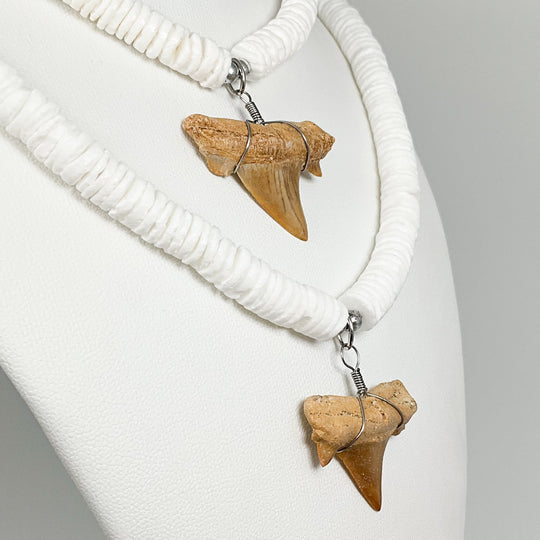 Fossilized Shark Tooth Necklace - Rocks and Gems Canada