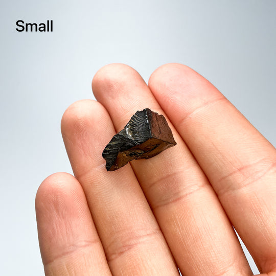 Elite Shungite Piece