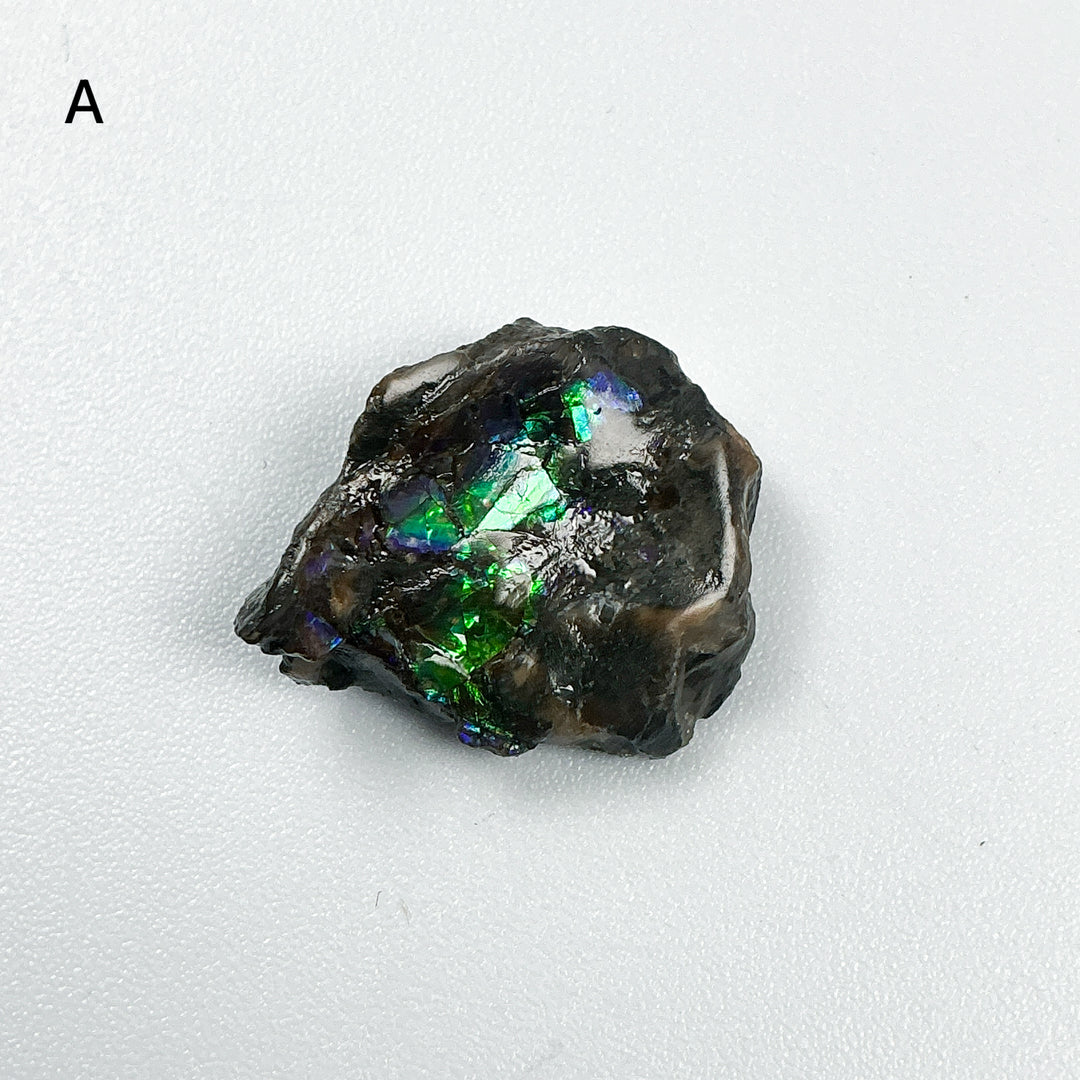 Ammolite Specimen