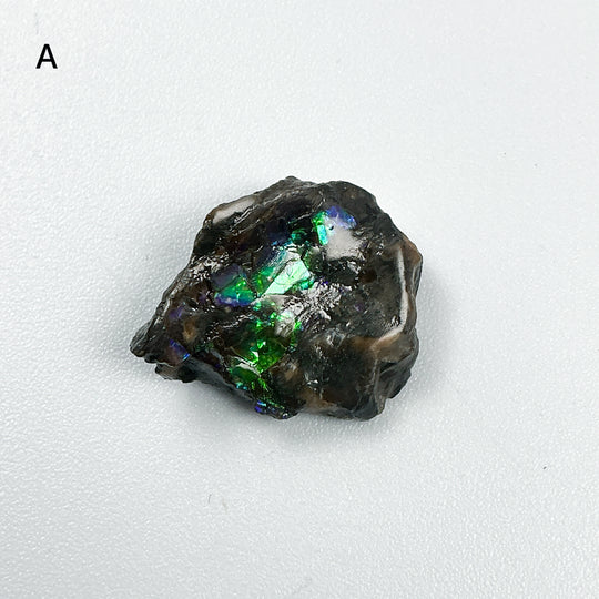 Ammolite Specimen