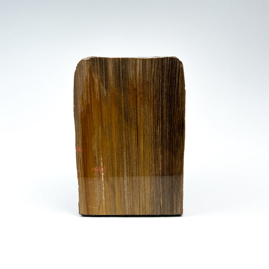 Petrified Wood Stand Up