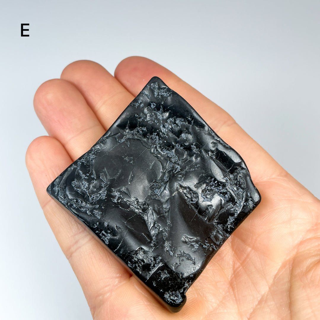 Shungite Slice - Rocks and Gems Canada