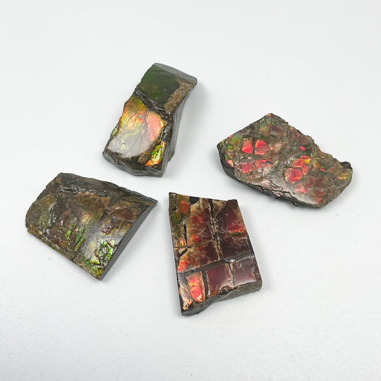 Ammolite Specimen