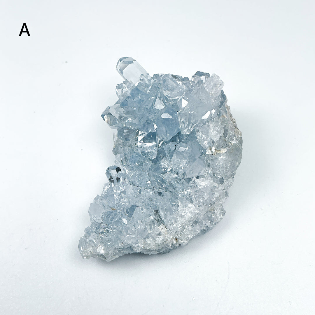 Celestite Druzy - Rocks and Gems Canada