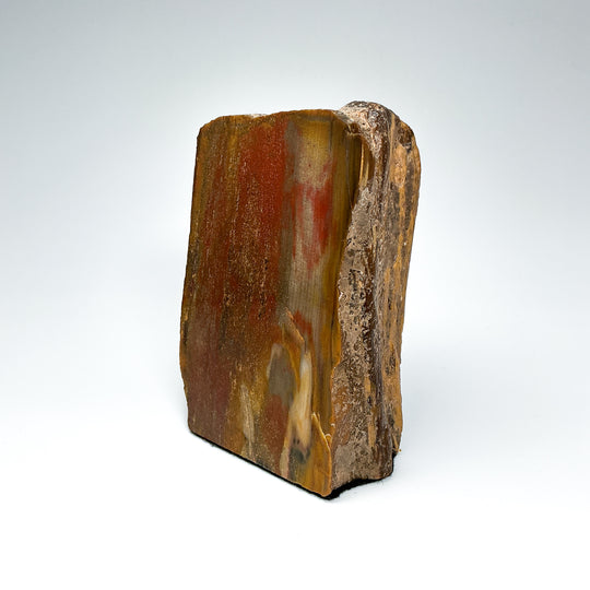 Petrified Wood Stand Up