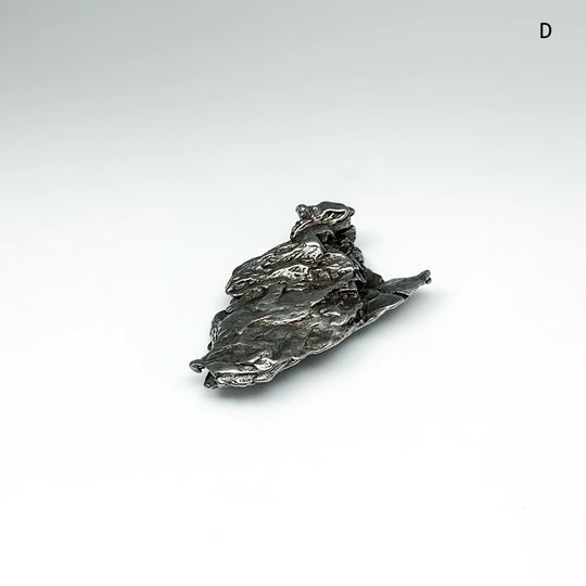 Campo Del Cielo Meteorite