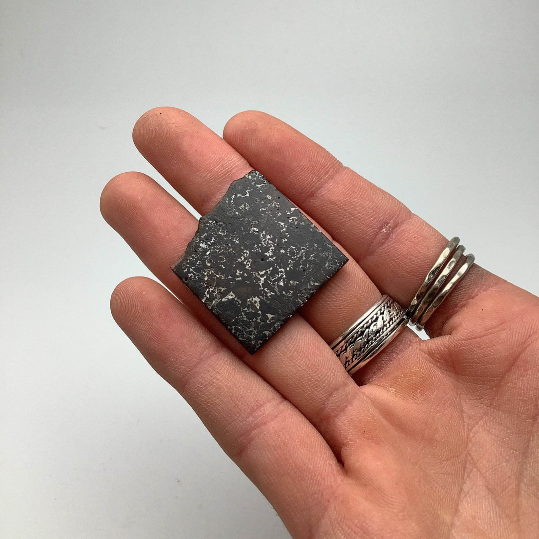 Admire Meteorite Slice - Rocks and Gems Canada