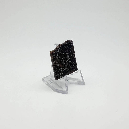 Admire Meteorite Slice - Rocks and Gems Canada