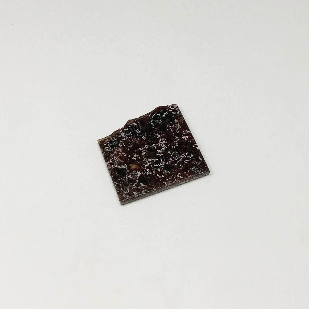 Admire Meteorite Slice - Rocks and Gems Canada