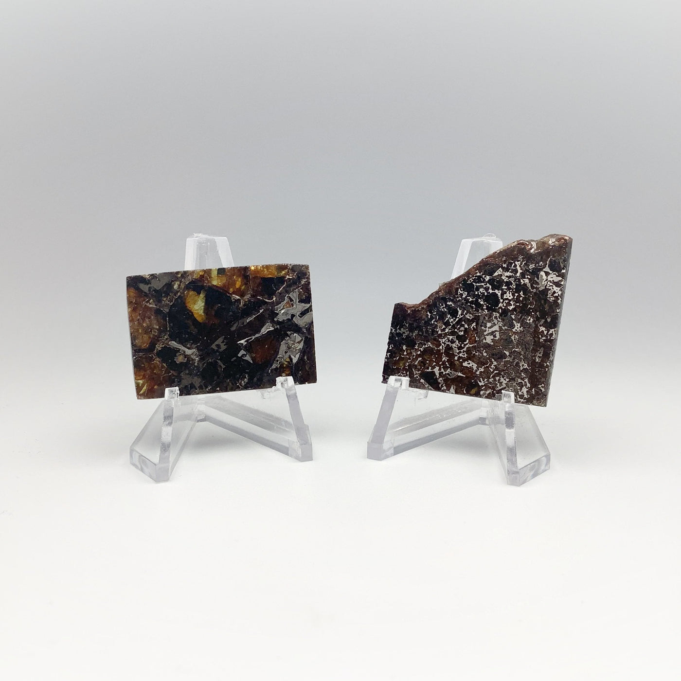 Admire Meteorite Slice at $189 Each