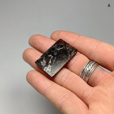 Admire Meteorite Slice at $189 Each