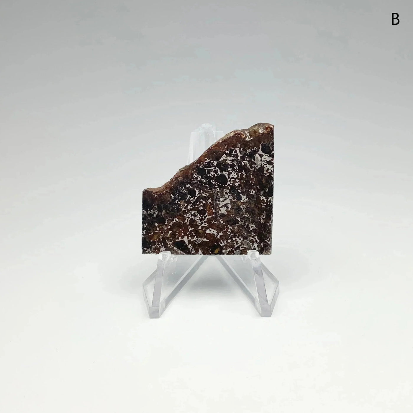 Admire Meteorite Slice at $189 Each