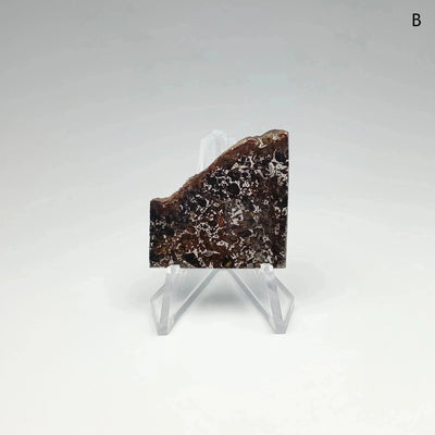 Admire Meteorite Slice at $189 Each