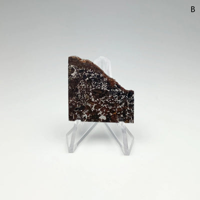 Admire Meteorite Slice at $189 Each