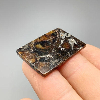 Admire Meteorite Slice at $189 Each