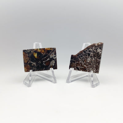 Admire Meteorite Slice at $189 Each