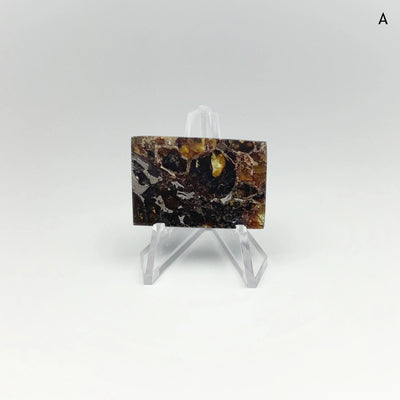 Admire Meteorite Slice at $189 Each