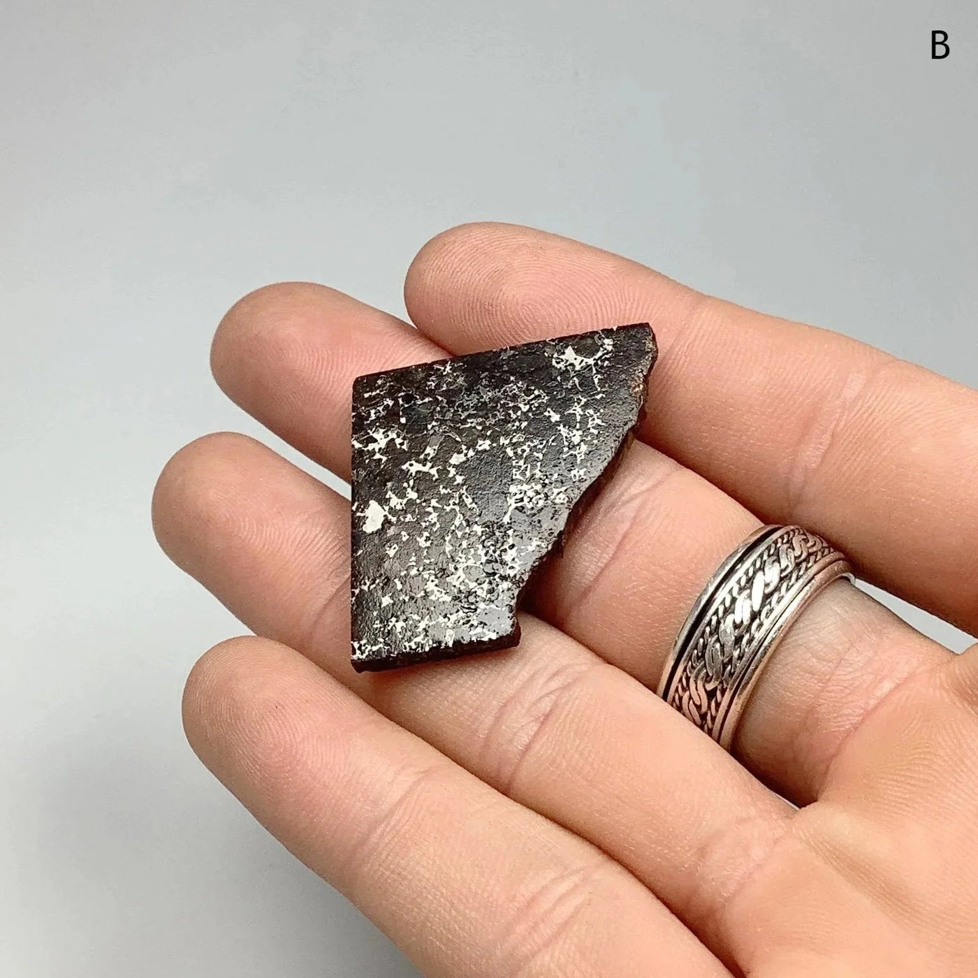Admire Meteorite Slice at $189 Each