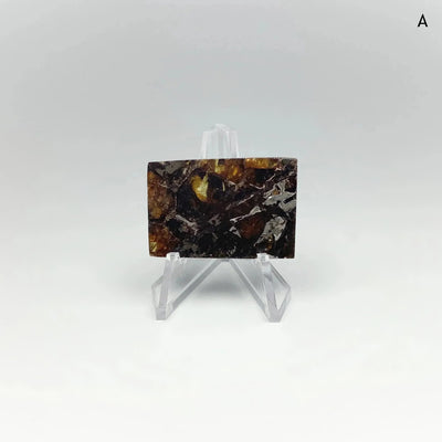 Admire Meteorite Slice at $189 Each