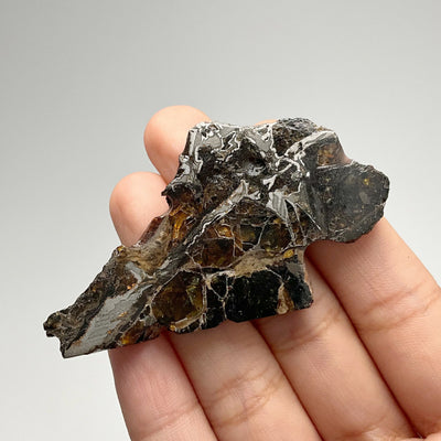 Admire Meteorite Slice