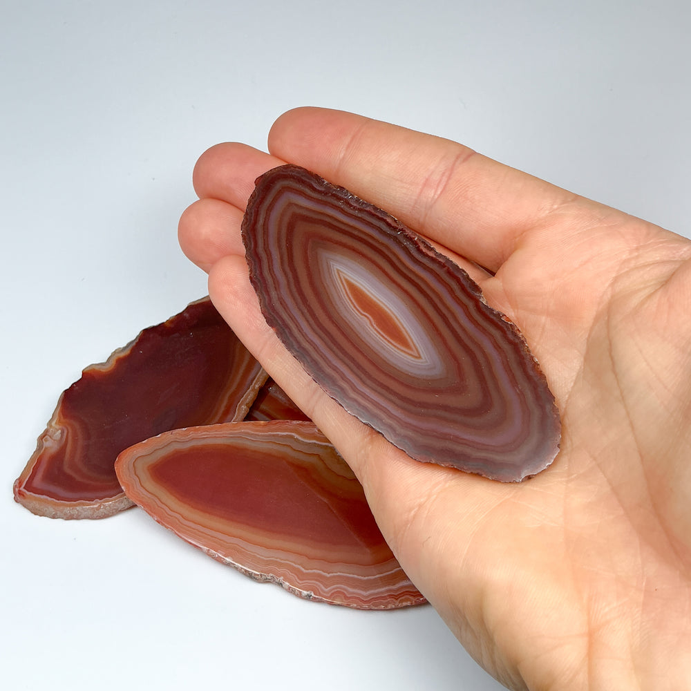 Agate Slice-Rocks and Gems Canada