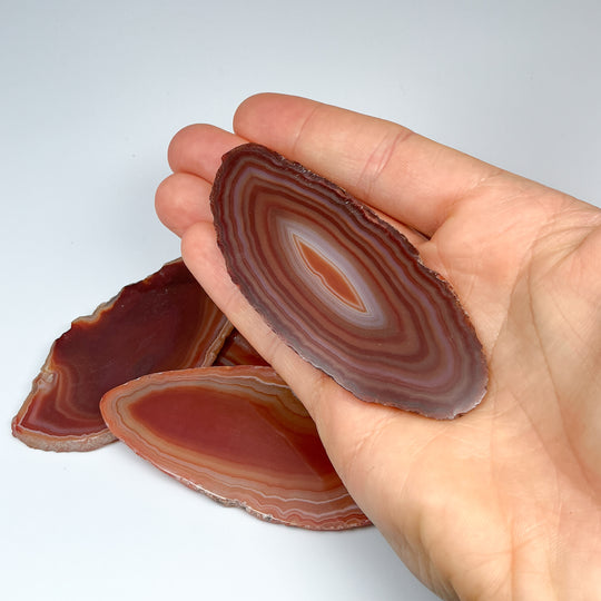 Agate Slice-Rocks and Gems Canada