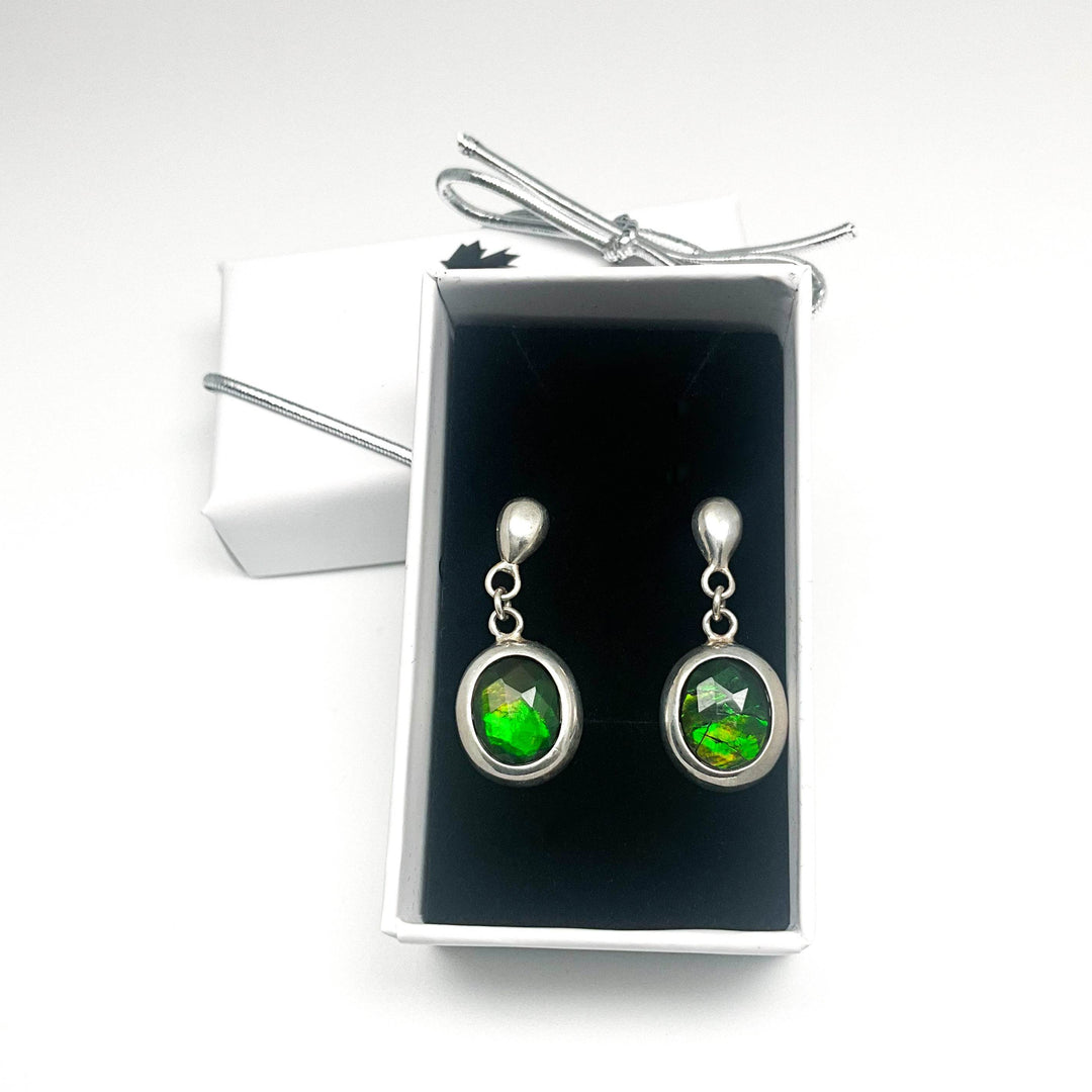 Alberta Ammolite Dangle Earrings-Rocks and Gems Canada