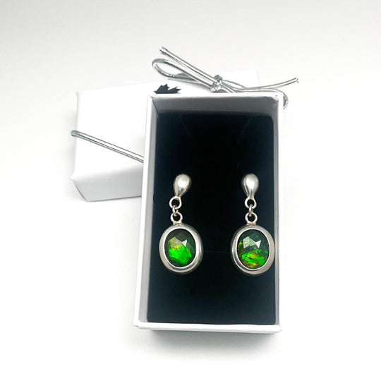 Alberta Ammolite Dangle Earrings-Rocks and Gems Canada