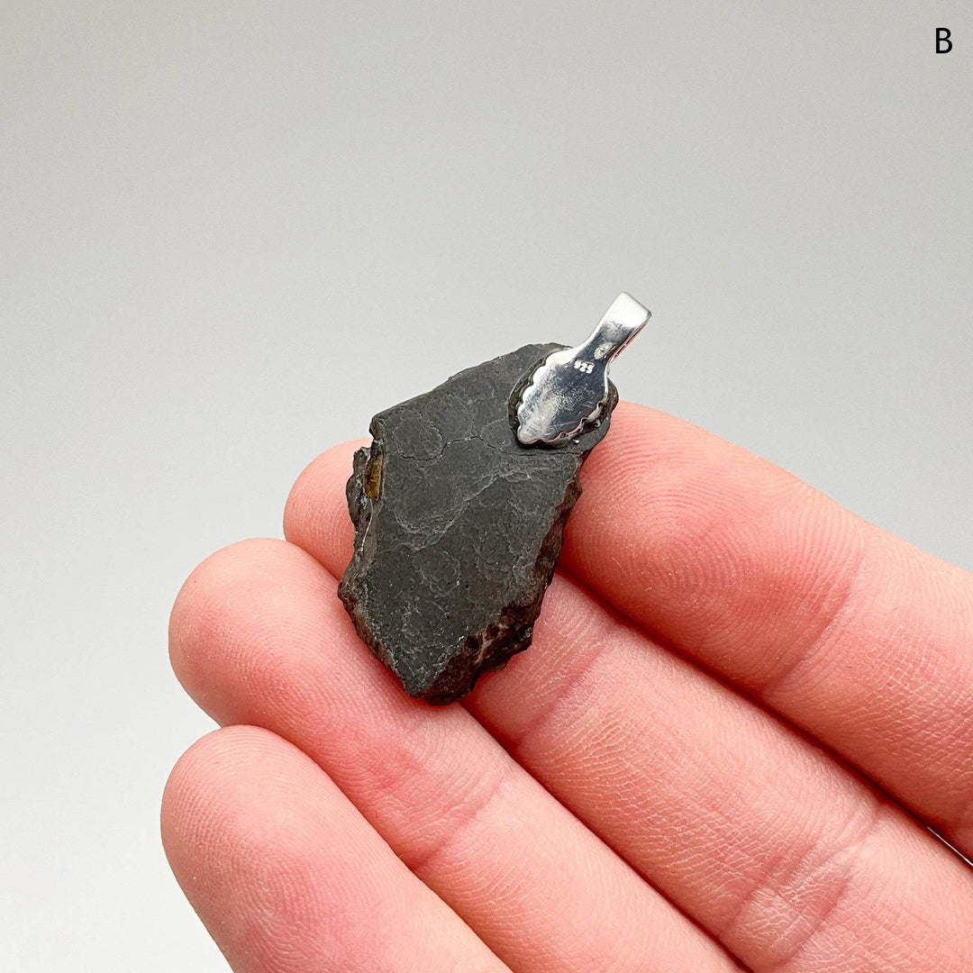 Alberta Ammolite Pendant-Rocks and Gems Canada