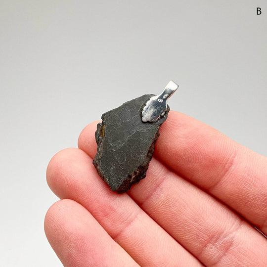 Alberta Ammolite Pendant-Rocks and Gems Canada