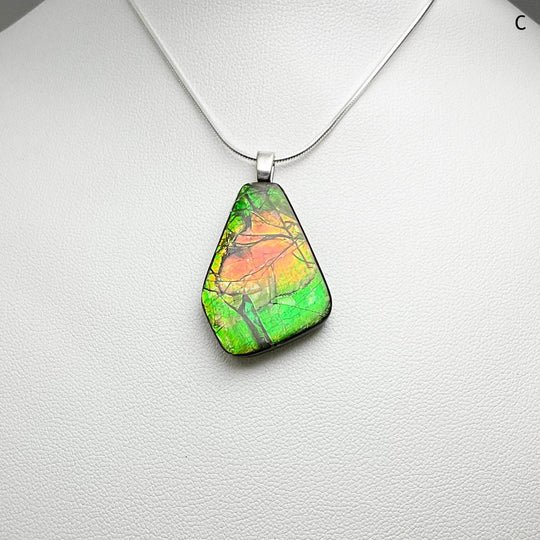 Alberta Ammolite Pendant-Rocks and Gems Canada