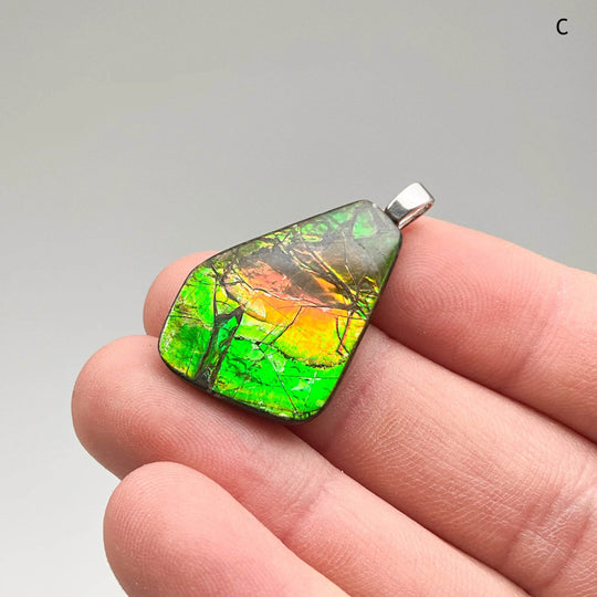 Alberta Ammolite Pendant-Rocks and Gems Canada