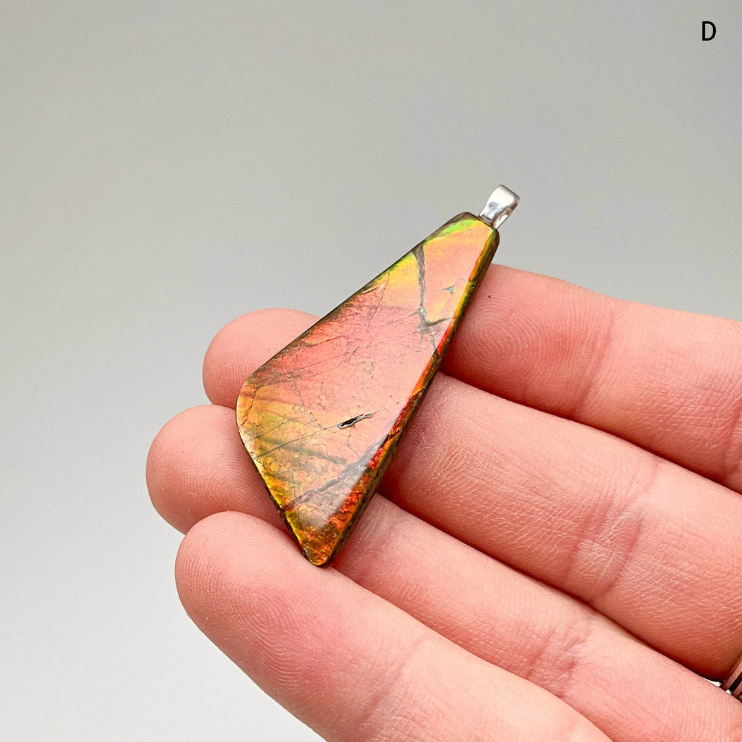 Alberta Ammolite Pendant-Rocks and Gems Canada